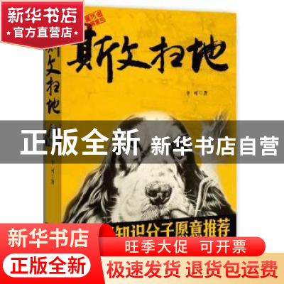 正版 斯文扫地 辛可著 九州出版社 9787510822513 书籍