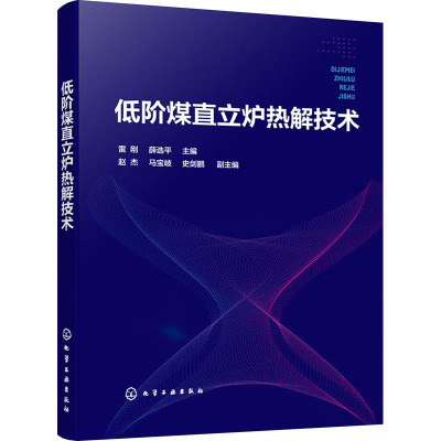 低阶煤直立炉热解技术