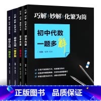 [套装4册]初中代数+初中几何 一题多变 初中通用 [正版]全套4册 初中代数几何一题多解一题多变 上海教育 初中数学压