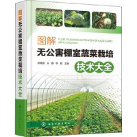 音像图解无公害棚室蔬菜栽培技术大全郭晓雷,王鑫,李颖主编