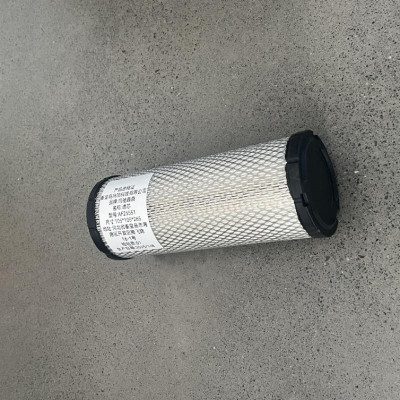 鸣驰鑫鼎 滤芯 AF25551 个