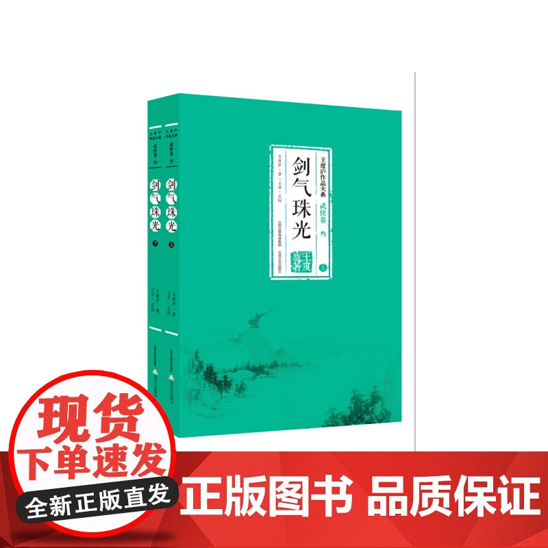 剑气珠光(全2册) 王度庐 北岳文艺出版社 正版书籍