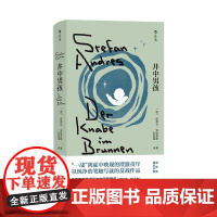 井中男孩 安德雷斯著 德国版城南旧事 战争童年成长 德国长篇小说 后浪出版