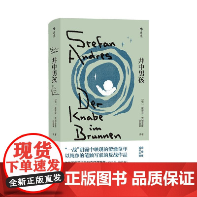 井中男孩 安德雷斯著 德国版城南旧事 战争童年成长 德国长篇小说 后浪出版