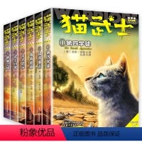 猫武士四部曲 全6册 [正版]猫武士全套6册四部曲 二部曲三部曲五部曲六部曲漫画版三年级课外书必读7-10岁儿童动物故事