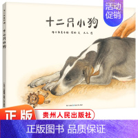 [精装硬壳]十二只小狗 [正版]蒲公英童书馆 十二只小狗 绘本3-6-8岁儿童亲子共读图画故事书作家黑鹤画家九儿图原创动