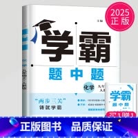 化学 九年级上 人教版 九年级/初中三年级 [正版]2025学霸题中题九年级下册上册数学物理英语化学苏科版译林版苏教人教