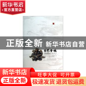 正版 洛带会馆 客地原乡 张利频,曾列主编 四川美术出版社 97875