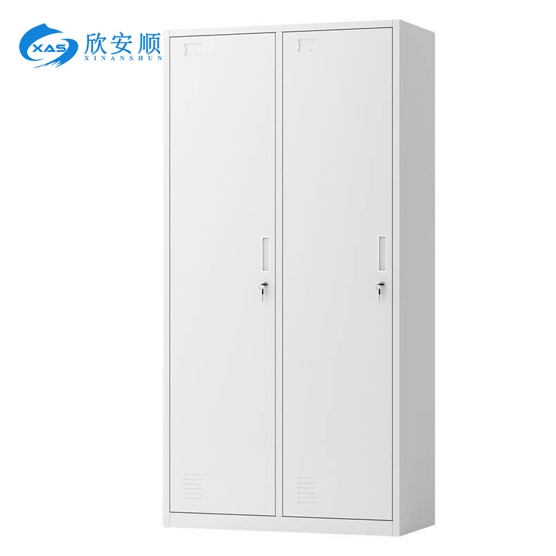 欣安顺 钢制二门更衣柜(小镜子) 1850*900*500mm 台