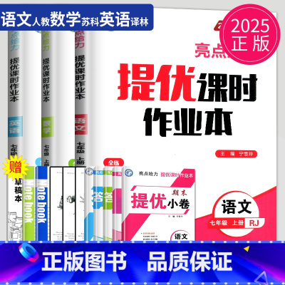 语数英 七年级上 江苏专用(除南通) 七年级上 [正版]2024亮点给力提优课时作业本七年级上册下册数学语文英语七下七