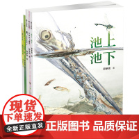 爱上自然系列绘本全5册池上池下生态绘本丰子恺儿童图画书奖蜻蜓我们的森林你睡着了吗我们去钓鱼小学生课外书读物