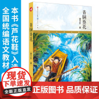 《草房子》《青铜葵花》国际安徒生奖得主曹经典作品(套装全二册)