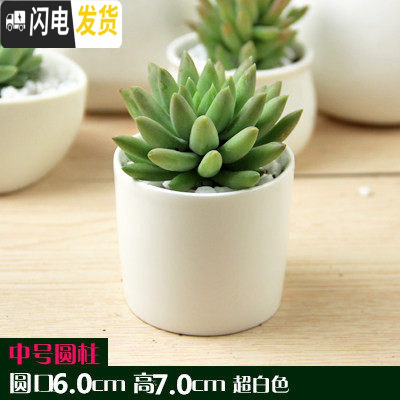 三维工匠多肉花盆白色陶瓷盆长方形肉肉植物简约白瓷多肉盆小绿植花卉盆器 2个中号圆柱[6X6X7] 中等花盆容器