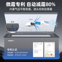 星星(XINGX) 150L 家用冷柜 卧式冷柜 冷藏冷冻转换柜 安全圆角 微霜系统 节能省电 BD/BC-150R