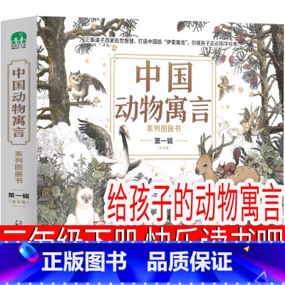 给孩子的动物寓言 三年级版 [正版]风到哪里去了[美]夏洛特·左罗托夫著三年级下册必读绘本读物风到哪去了风到哪儿去了风到