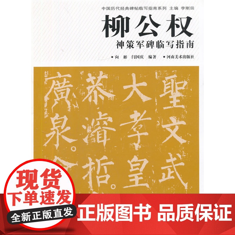 正版 中国历代经典碑帖临写指南系列---柳公权神策军碑临写指南 向彬,闫国庆著 河南美术