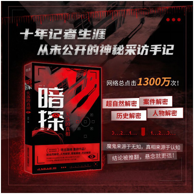 正版新书]暗探 失落的真相路晓 著9787221174048