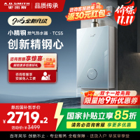 史密斯佳尼特[小精钢TCS5]16升精钢燃气热水器 国家补贴 JSQ31-TCS5 安全守护 持久恒温大水量 新品