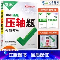 数学-函数 初中通用 [正版]2024数学物理化学压轴题专项训练 初二初三初中数学几何二次函数方法大全 八九年级二次函数