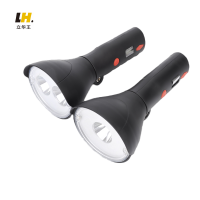 立华王LH3100D-A电筒