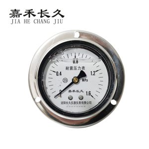 嘉禾长久/耐震压力表轴向带边/ YN60ZT/个
