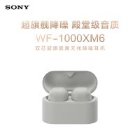 索尼(Sony) WF-1000XM6双芯超旗舰真无线降噪耳机 铂金银