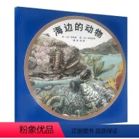 [正版]海边的动物 儿童绘本 0-3-6岁幼儿园幼儿科普绘本 日本名家松冈达英作品绘本幼儿童图画书科普作家任天先生郑重
