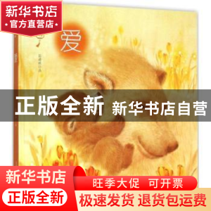 正版 爱 张蔚昕画 春风文艺出版社 9787531347552 书籍