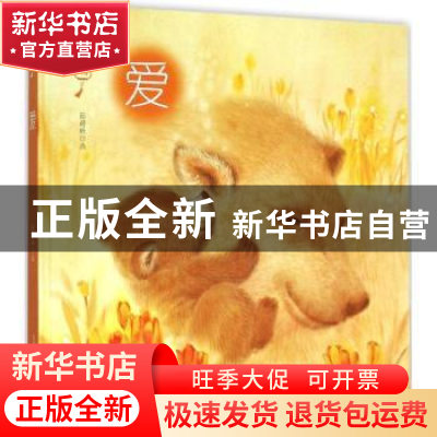 正版 爱 张蔚昕画 春风文艺出版社 9787531347552 书籍