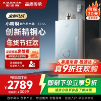 史密斯佳尼特[小精钢TCS5]16升精钢燃气热水器 国家补贴 JSQ31-TCS5 安全守护 持久恒温大水量 新品