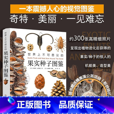 [正版] 世界上不可思议的果实种子图鉴赠蒲公英项链300张高精细果实图片青少年课外阅读自然科普书画报级亚光铜版纸精装小