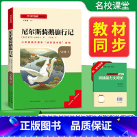 尼尔斯骑鹅旅行记-六年级下册必读 [正版]名校课堂快乐读书吧六年级下册必读小学生课外阅读书籍书目鲁滨逊漂流记尼尔斯骑鹅旅