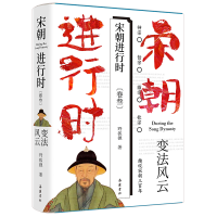 醉染图书宋朝进行时3:变法风云9787553817309