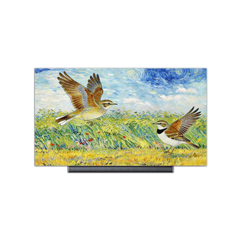 康佳小百灵 75G10 Pro 75英寸MiniLED JBL音响家用电视机