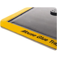 鸿灵睿芯 FCH2 粘虫胶贴板 (计价单位:套)黑色