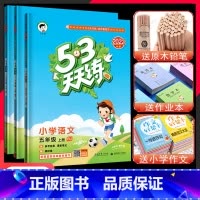 2023秋]五年级上.语+数+英 共3本-江苏版 小学五年级 [正版]2024春新版小学53天天练五年级上册下册语文数学