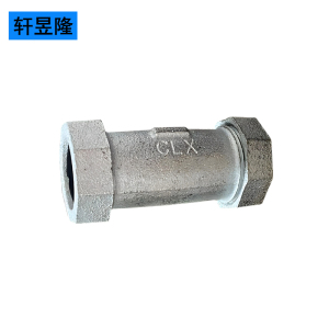 轩昱隆镀锌快速直接DN20/个