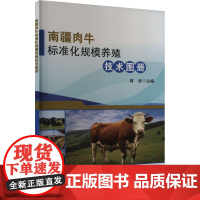 南疆肉牛标准化规模养殖技术图册 肉牛良种繁育养殖设施防疫粪污无害化管理技术指导书 肉牛饲料转化率增产生态污染防治示范书籍