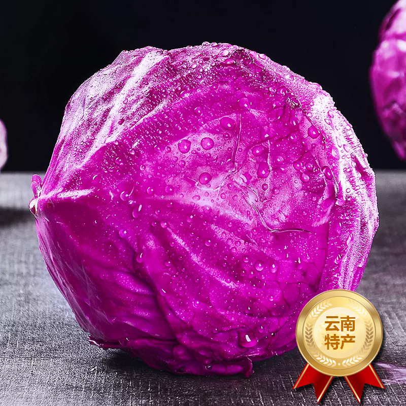 [西沛生鲜]新鲜紫甘蓝卷心菜 净重2-3斤 紫甘兰莲花包心菜 当季新鲜蔬菜