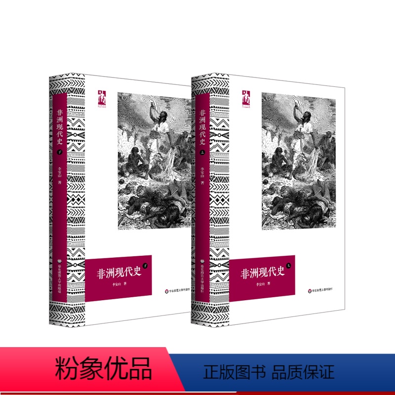 [正版]非洲现代史 六点非洲系列 林毅夫 非洲史学者李安山撰 展现非洲大陆的现代化进程 世界历史 精装
