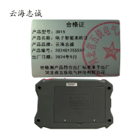 电子智能兆欧计 3015 1套