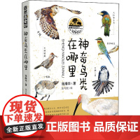 自然真奇妙——神奇鸟类在哪里