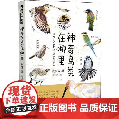 自然真奇妙——神奇鸟类在哪里