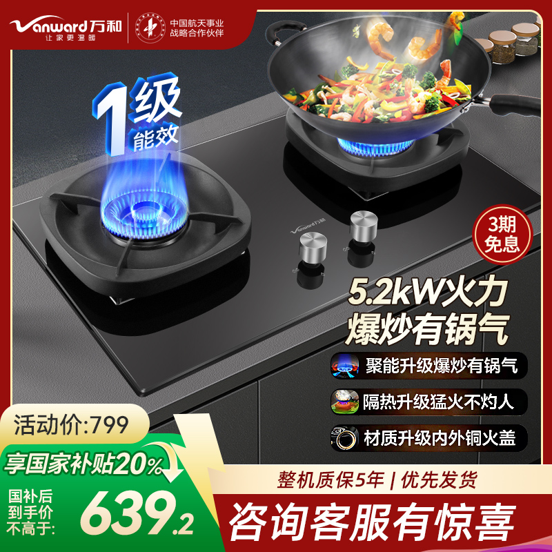 万和(Vanward) 超一级能效天然气双灶 双眼燃气灶 单灶具 5.2KW火力钢化玻璃 可调底座G6L50