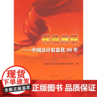 辉煌历程--中国会计信息化30年