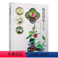 [正版]荷花切花生产与应用