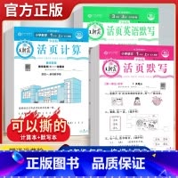 25版王朝霞活页默写RJ 一年级上 [正版]2024版活页同步字帖活页默写能手数学计算凑十法英语字词活页卷三四五六年级一