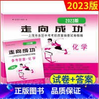 2023走向成功 中考化学 (二模卷)+答案 2本 上海 [正版]2023年版化学二模卷上海中考二模卷化学试卷+答案走向