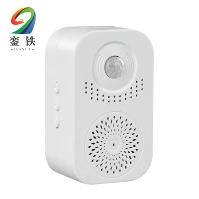 銮铁语音提示器充电款个