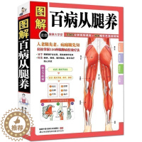 [醉染正版]正版 图解百病从腿养 中医理疗养生保健书 家庭医学书 疾病预防和治疗 中医学外科学经典120种腿脚病的t